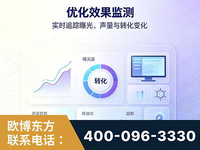 广元-优化效果监测